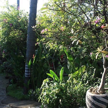 Cleopatra Beach Bungalows Hotell Lovina Exteriör bild