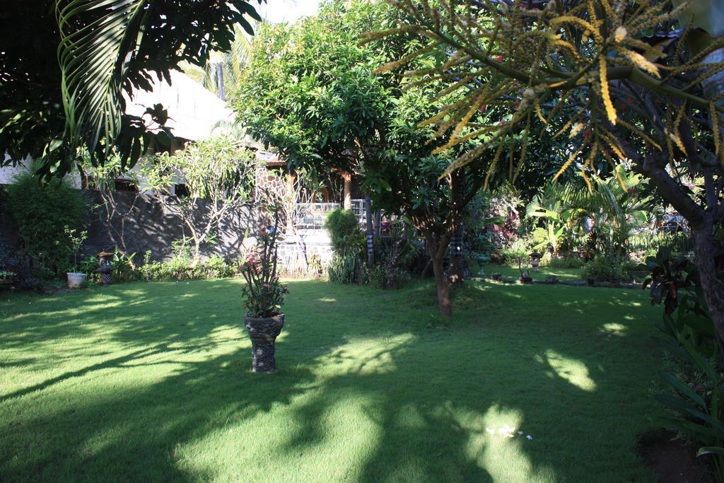 Cleopatra Beach Bungalows Hotell Lovina Rum bild